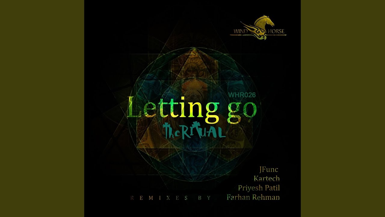 Letting Go (JFunc Remix)