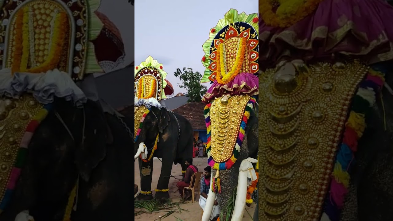 Thumbara ulsavam 2023 Puthenkulam Anandapadmanabhan and Arjunan