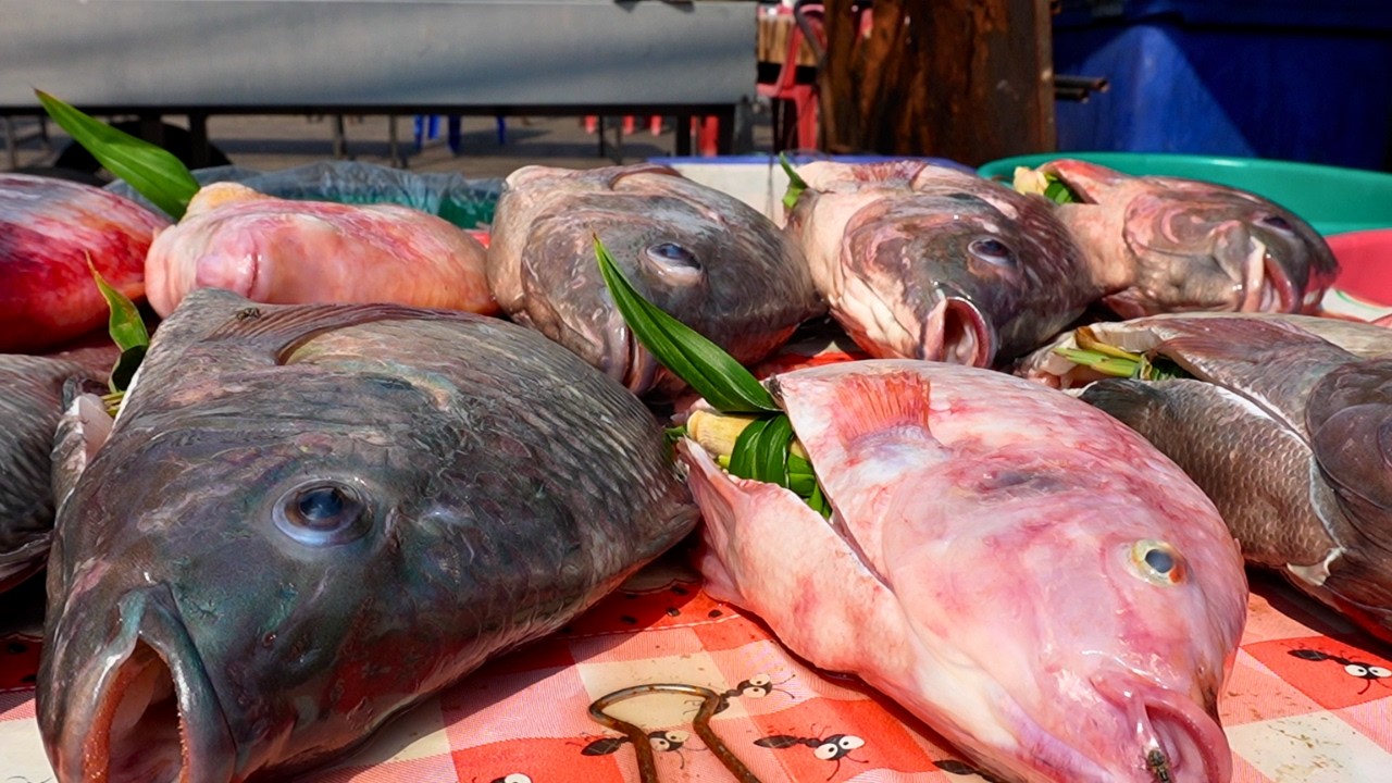 Non Stop Grilling! 200 Kg Tilapia Fish Sold Out In 3 Hours Per Day | Thai Street Food