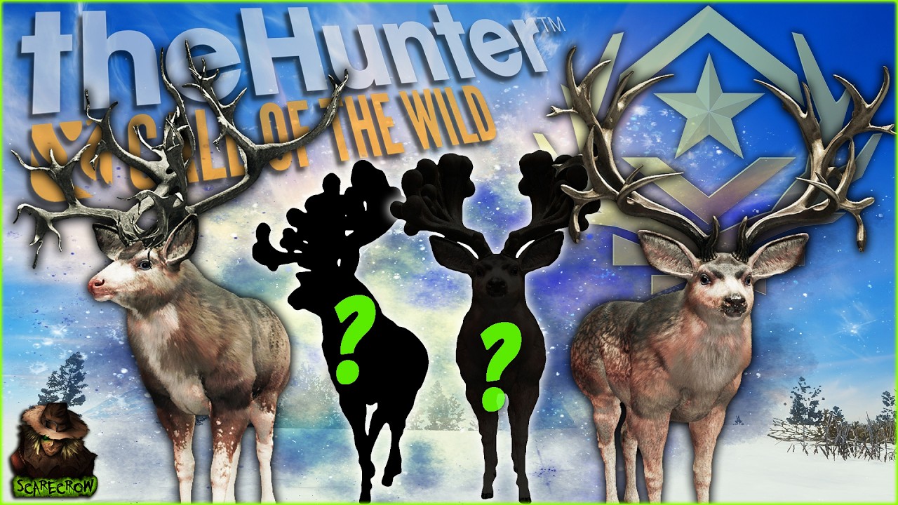 We Hunted Mule Deer For 7 Days & Got 4 Great Ones! Call of the wild