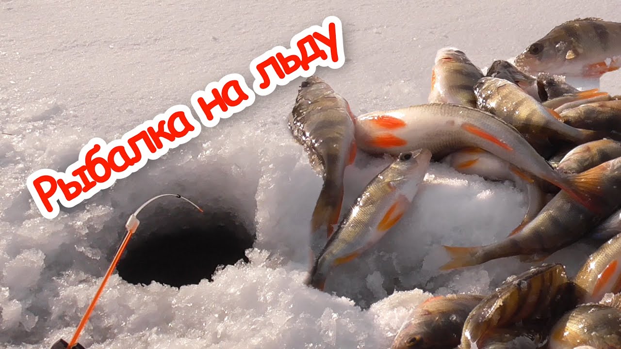ПЕРВЫЙ ЛЁД 2026! РЫБА САМА ИДЁТ НА КРЮЧОК! Ловля на удочку с кивком. Рыбалка на тонком льду