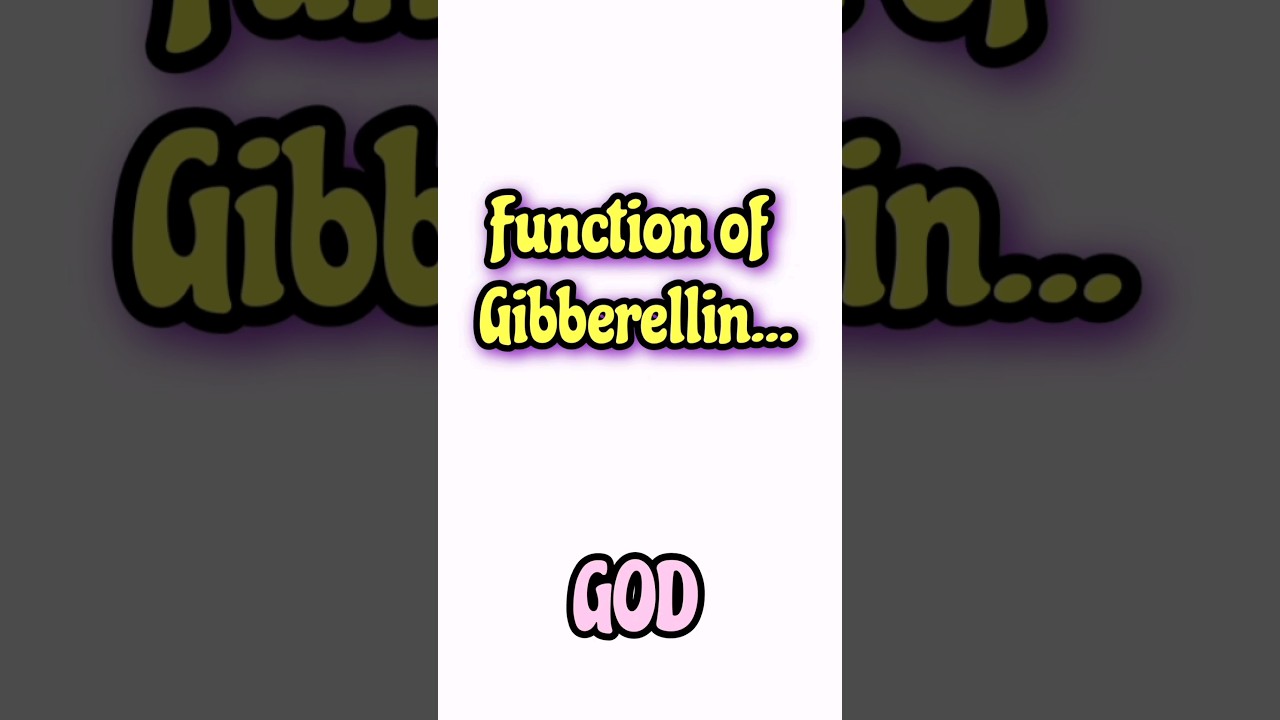 Function of gibberellin... in 8 second #neet #shortsfeed #shortsvideo #youtubeshorts #neetbiology