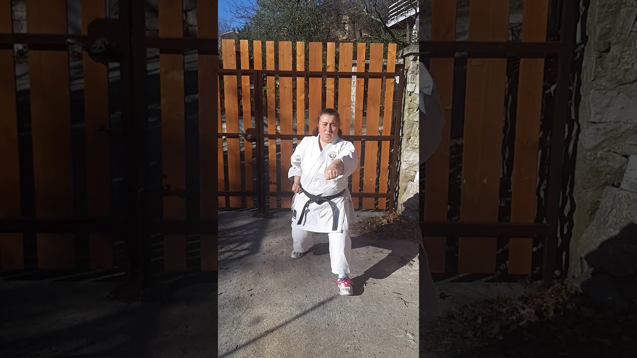 Programma esame karate shotokan da cint. BLU a cint.MARRONE asd dai shin do karate
