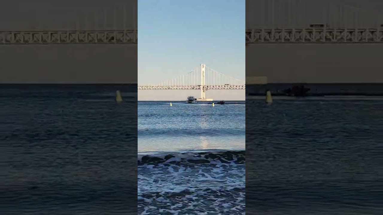 2026년 2월 12일