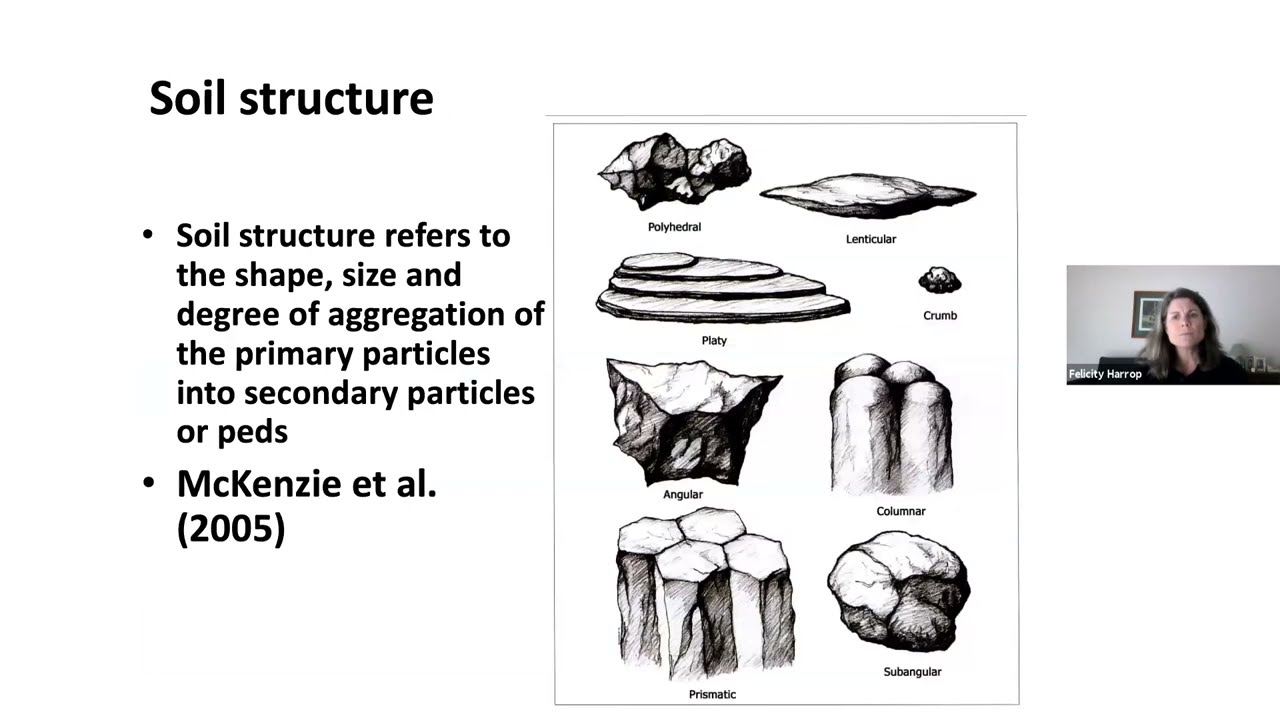16 Soil Compaction – Identification and Management