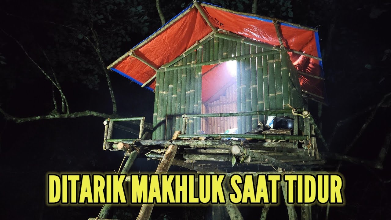 Bushcraft camping di hutan - Membangun tempat perlindungan yang aman