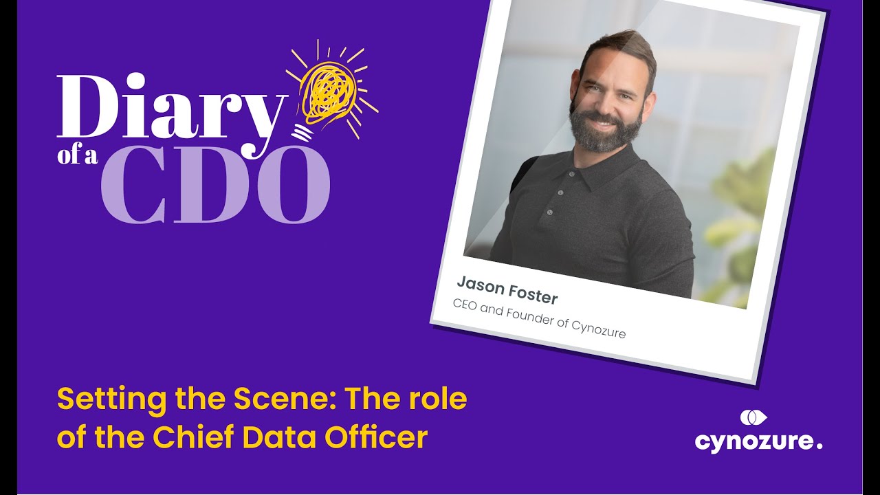 Diary of a CDO - Setting the Scene: The role of the Chief Data Officer