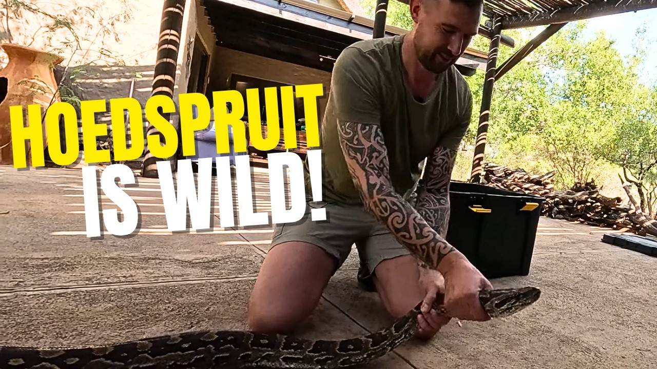 Unreal Wildlife Moments: Cheetah Walk, Giant Snake & Trail Cam Surprises!