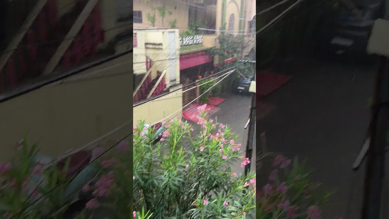 Heavy rains in Guntur on 31st August #guntur #rains #rainstorm #floods #vijayawada
