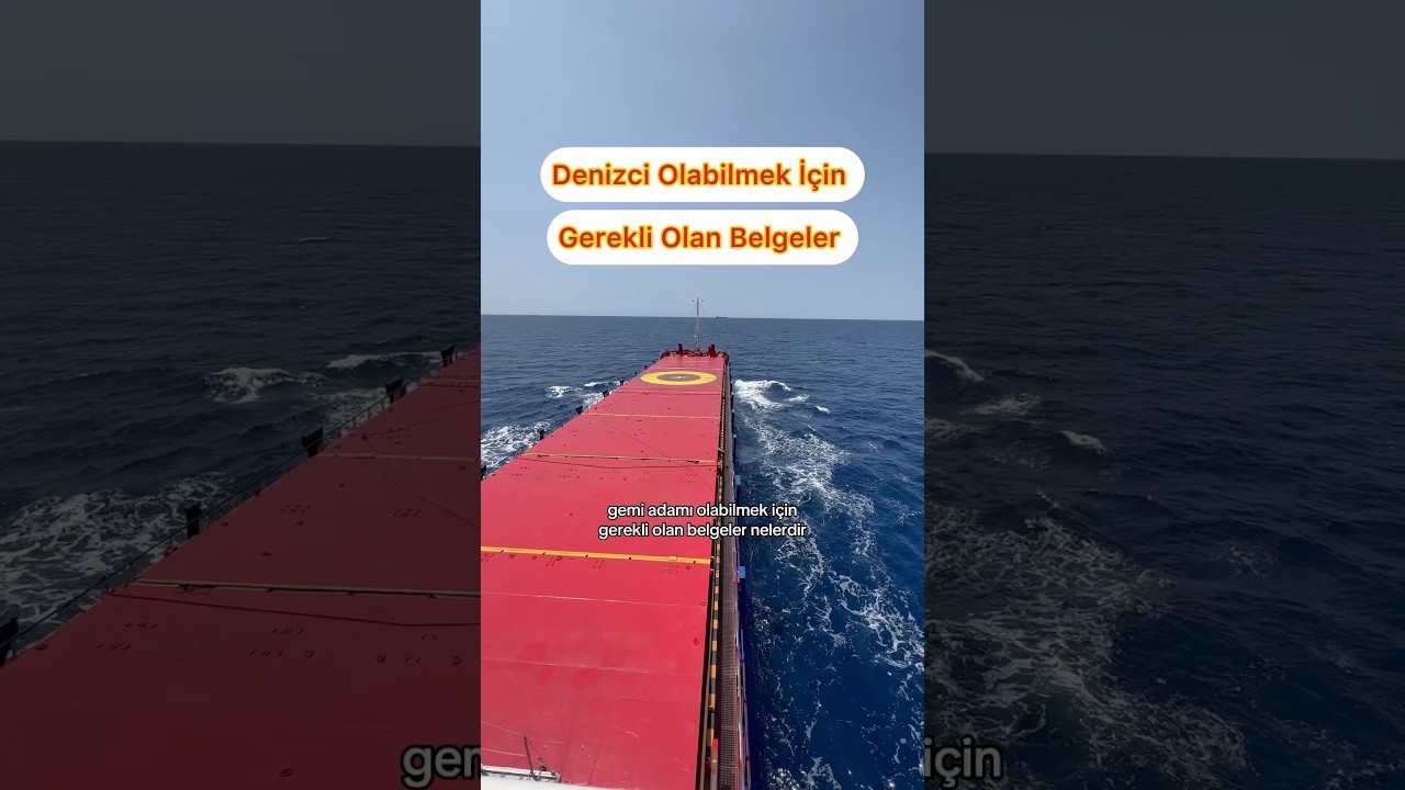 Nasıl Denizci Olabilirim Gerekli Olan Belgeler Nelerdir #denizciler #gemici #deniz #denizci