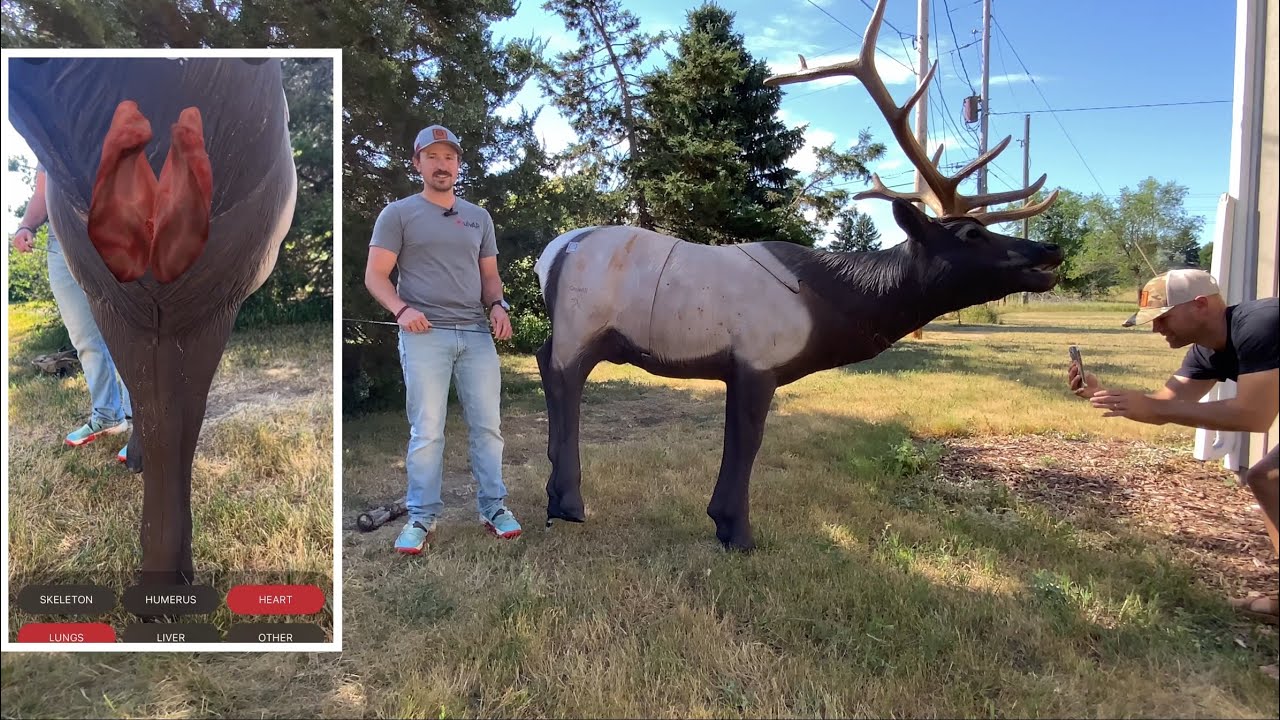 QuivAR: The Ultimate Tool for Sharpening Your Hunting Skills