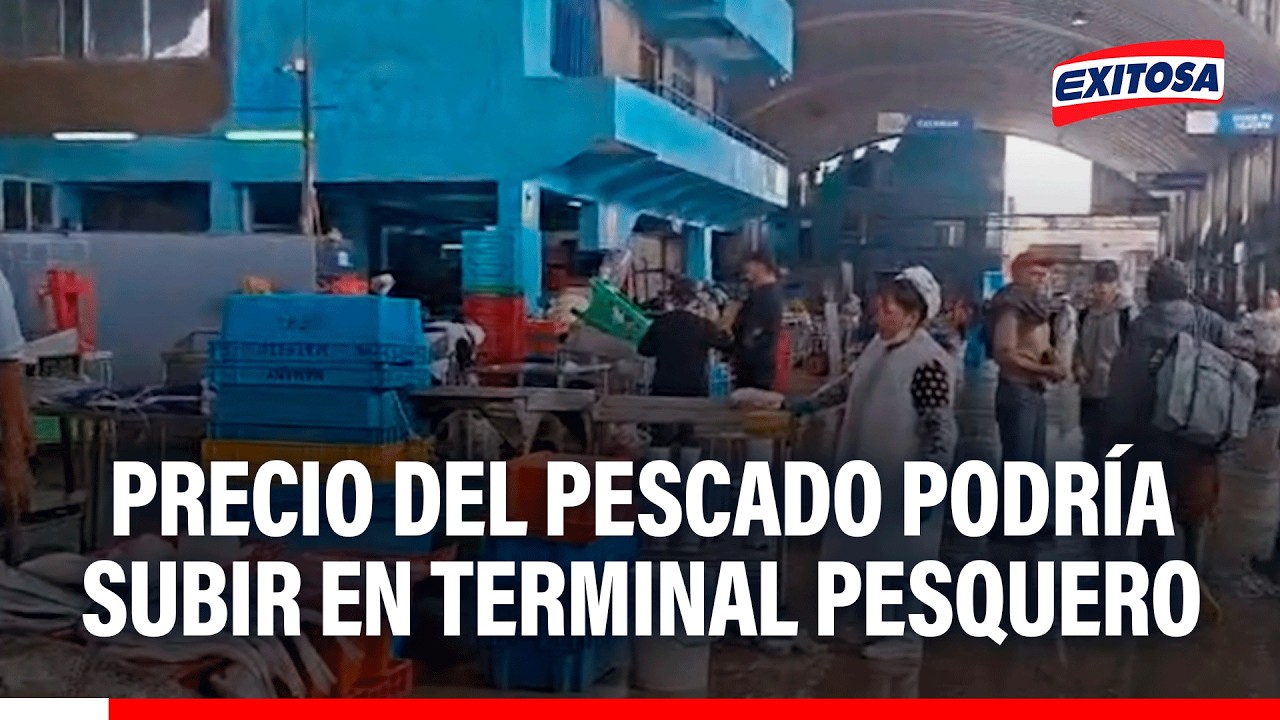 🔴🔵 Precio de pescado de mantiene en S/4 el kilo en el terminal pesquero de V.M.T.