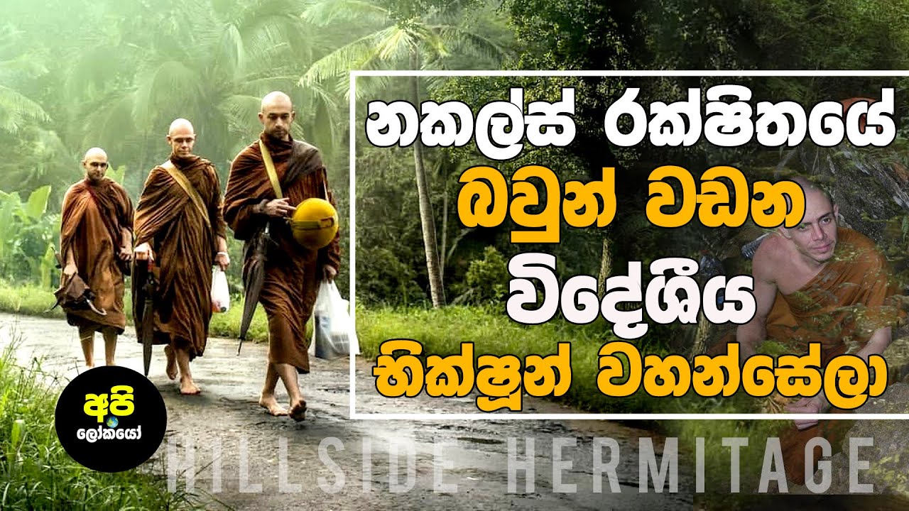 සුන්දර නකල්ස් රක්ෂිතයේ බවුන් වඩන විදේශීය භික්ෂූන් වහන්සේලා Buddhist meditation Hillside Hermitage SL