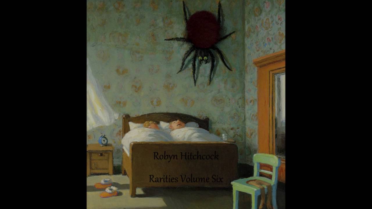 ~Robyn Hitchcock ~Rarities Volume Six~