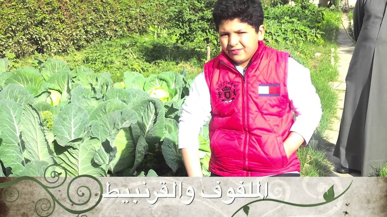 مزرعة مدرسة احمد الخميس