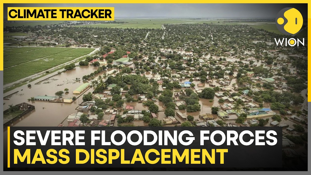 Colombia Floods Chaos: Heavy Rains Displace Thousands | WION Climate Tracker