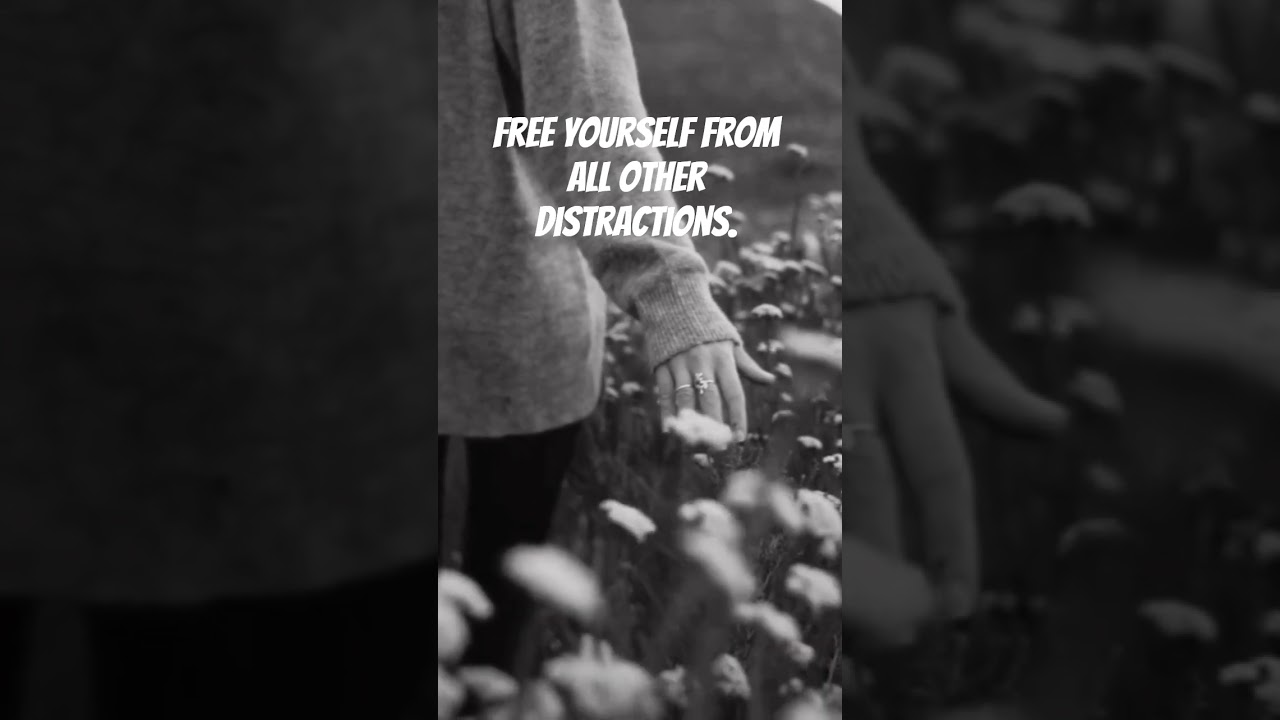 🧿Free Yourself From All Other Distractions 