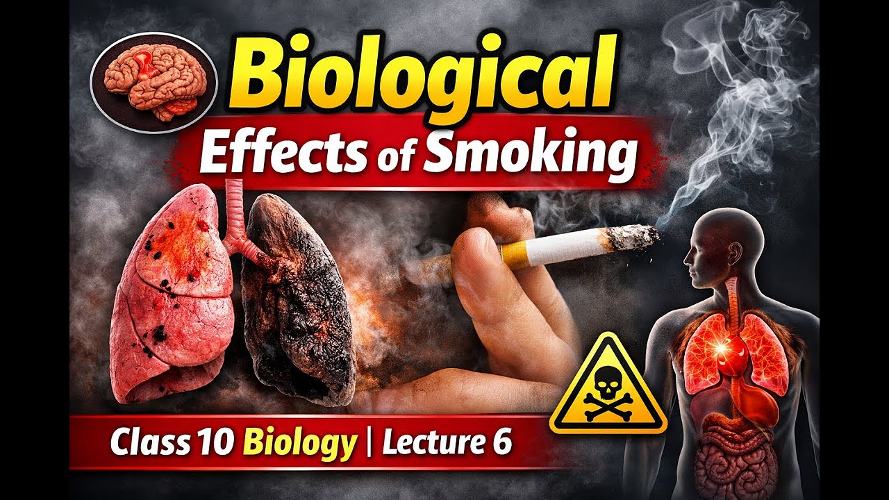 Biological Effects of Smoking | Class 10 Biology | Lecture 6 | Easy | Conceptual Science Academy.