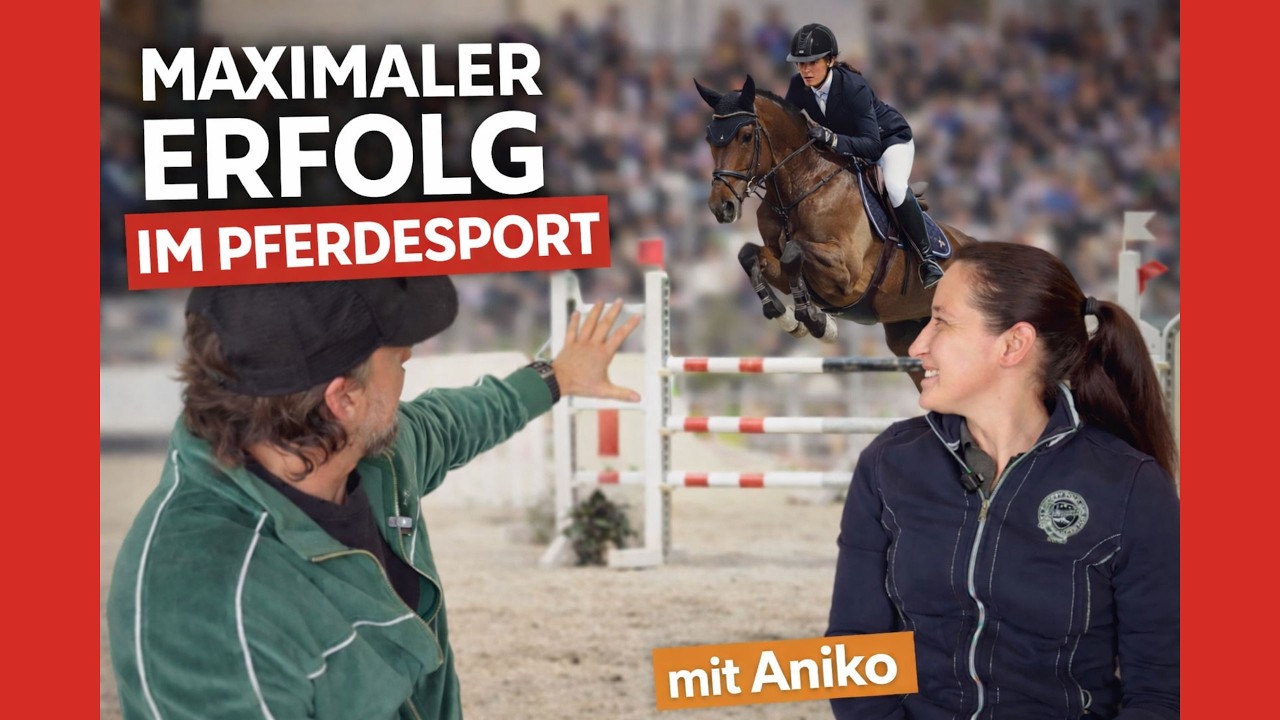 Kleines Pony oder internationales Turnierpferd? So erreichst du echte Höchstleistung