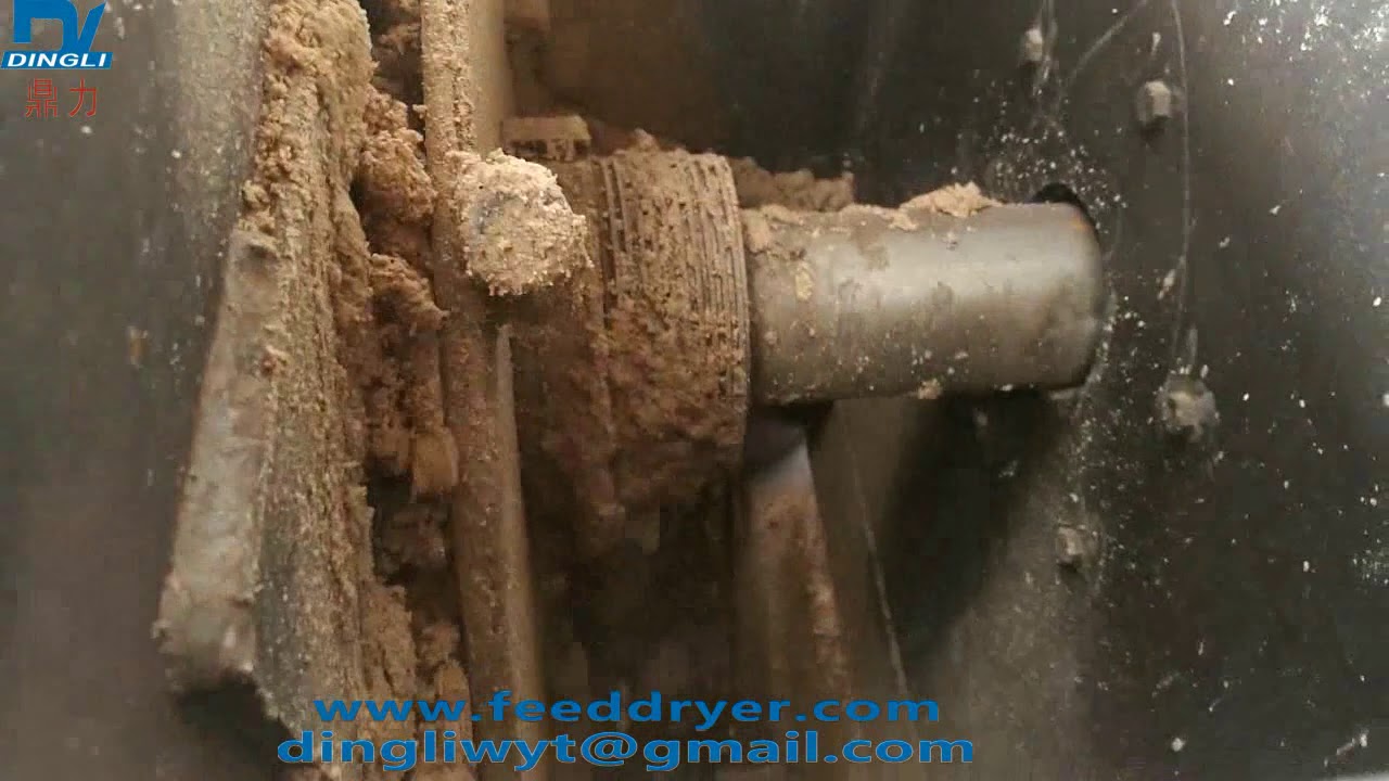 Feed beer waste drying plant/BSG dryer/brewer's grain spent dryer running vedio