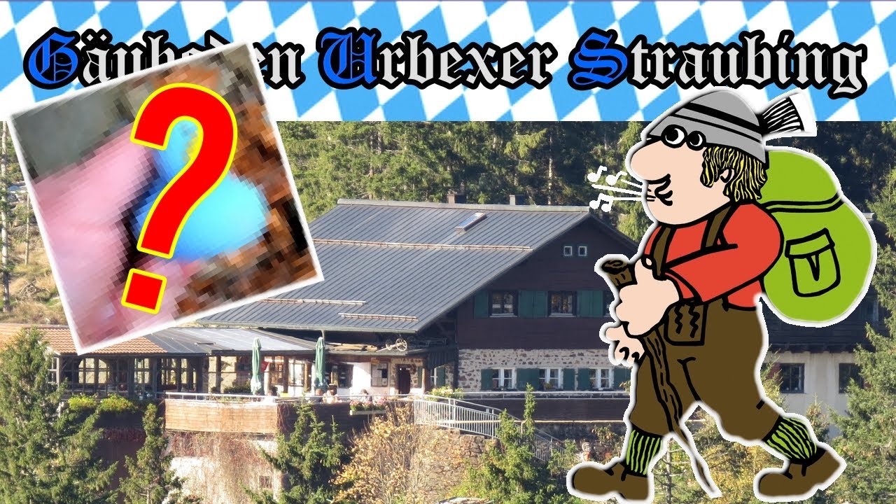 👨‍🌾 Großer Riedelstein ⏺ Rauchröhren ⏺ KÖTZTINGER HÜTTE ⏺ Mittagstein ⏺ Kleiner Riedelstein 🌄🌳 # 238