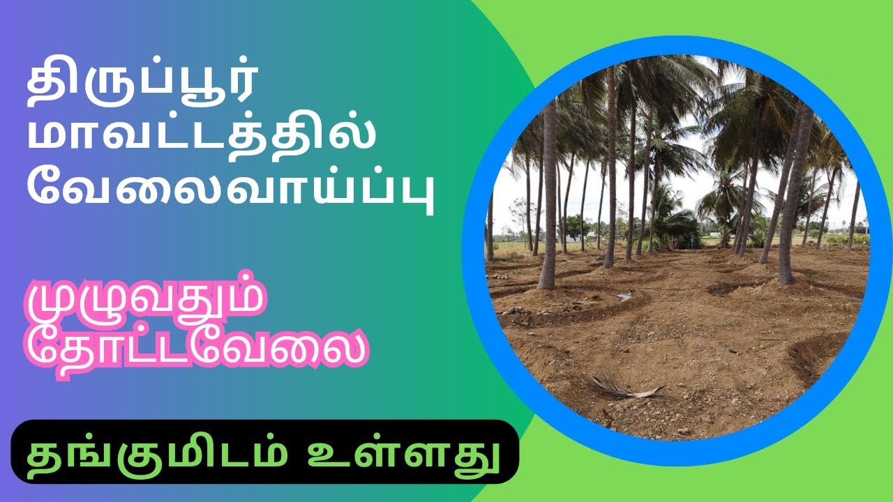 திருப்பூர் மாவட்டத்தில் தோட்ட வேலைவாய்ப்பு |தங்குமிடம் வசதியுடன் உள்ளது.