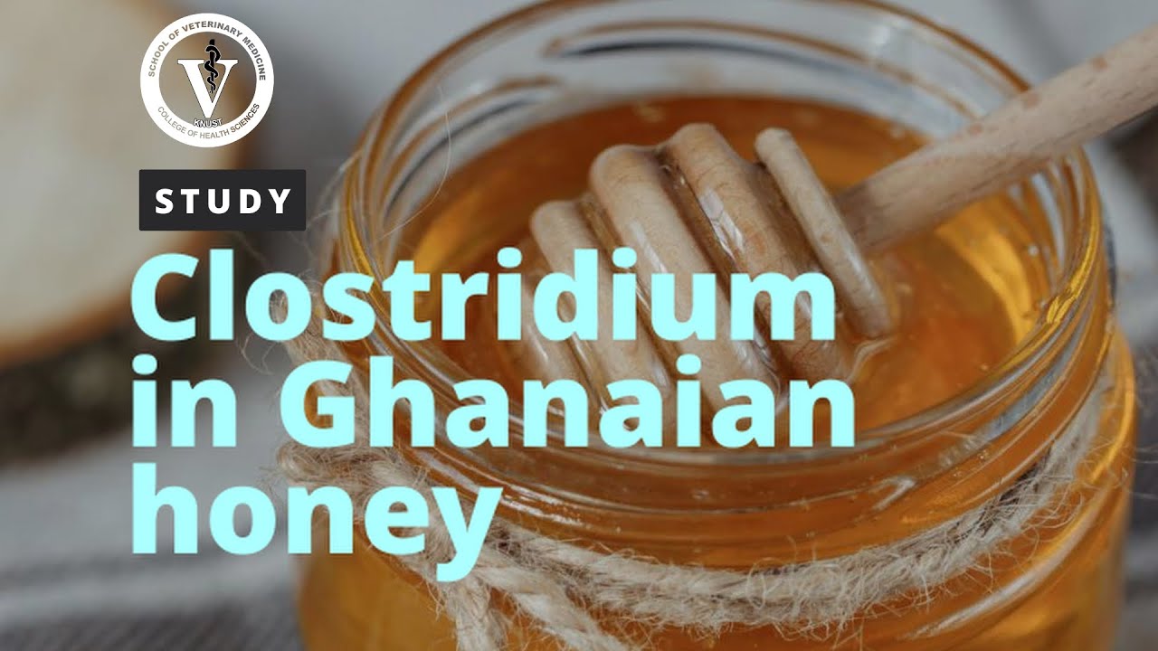 Do you feed your babies with honey? | Clostridium & honey | Study