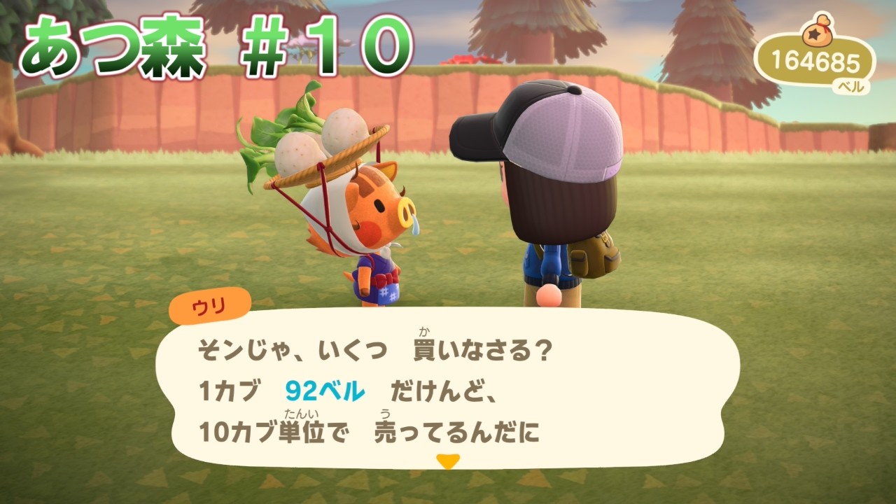 【あつ森 #10】キャンプサイトが完成したらしい