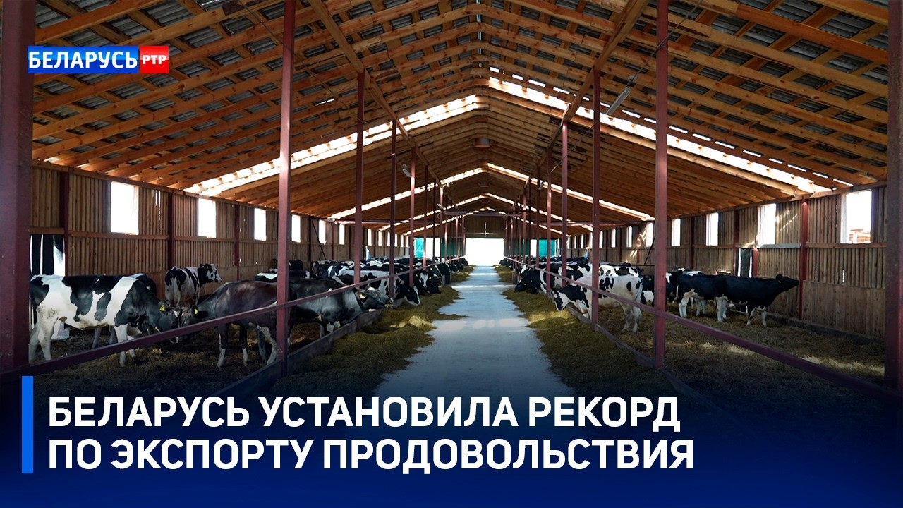 Беларусь среди лидеров! | Беларусь установила исторический рекорд по экспорту продовольствия