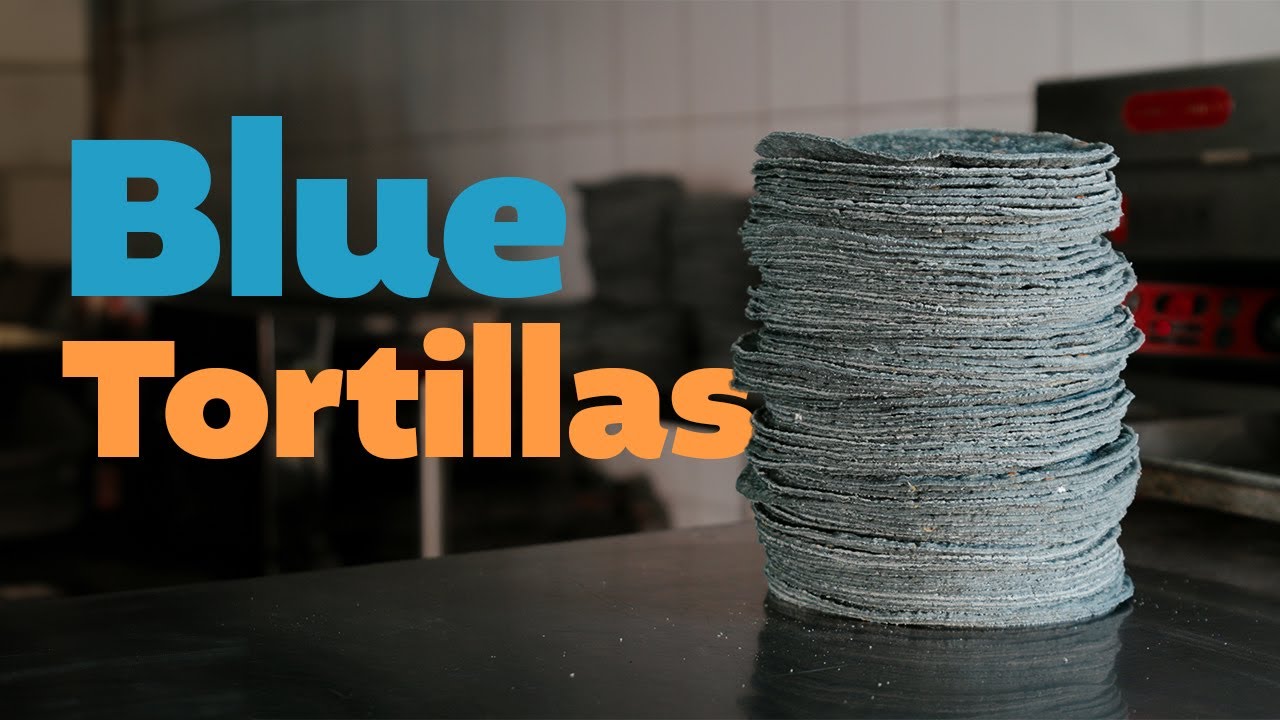 This is how Mexican organic blue-corn TORTILLAS are made from scratch
