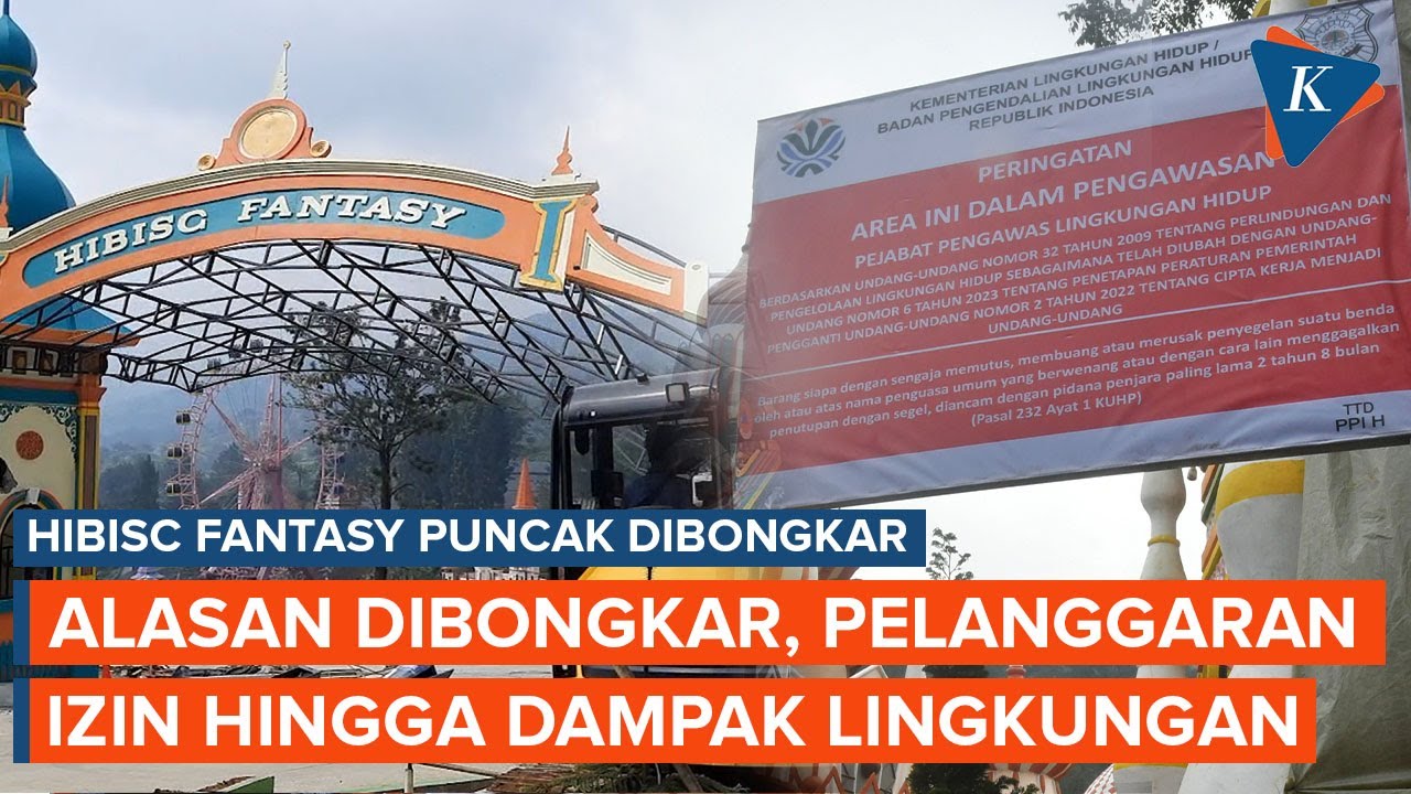 Kenapa Hibisc Fantasy di Puncak Dibongkar Dedi Mulyadi?
