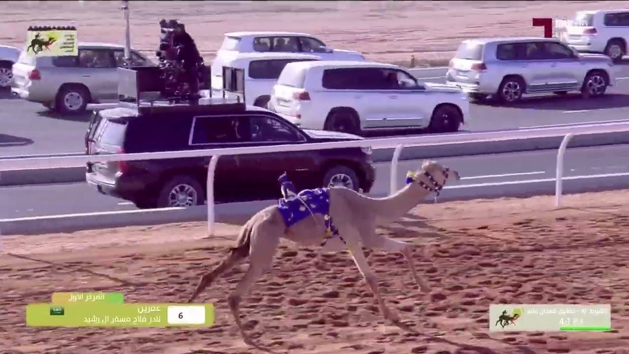 ش10 مزعل لـ ناصر جابر علي الغيثاني المري (مهرجان خادم الحرمين الشريفين8-2-2024ص) حقايق قعدان 6:02:83