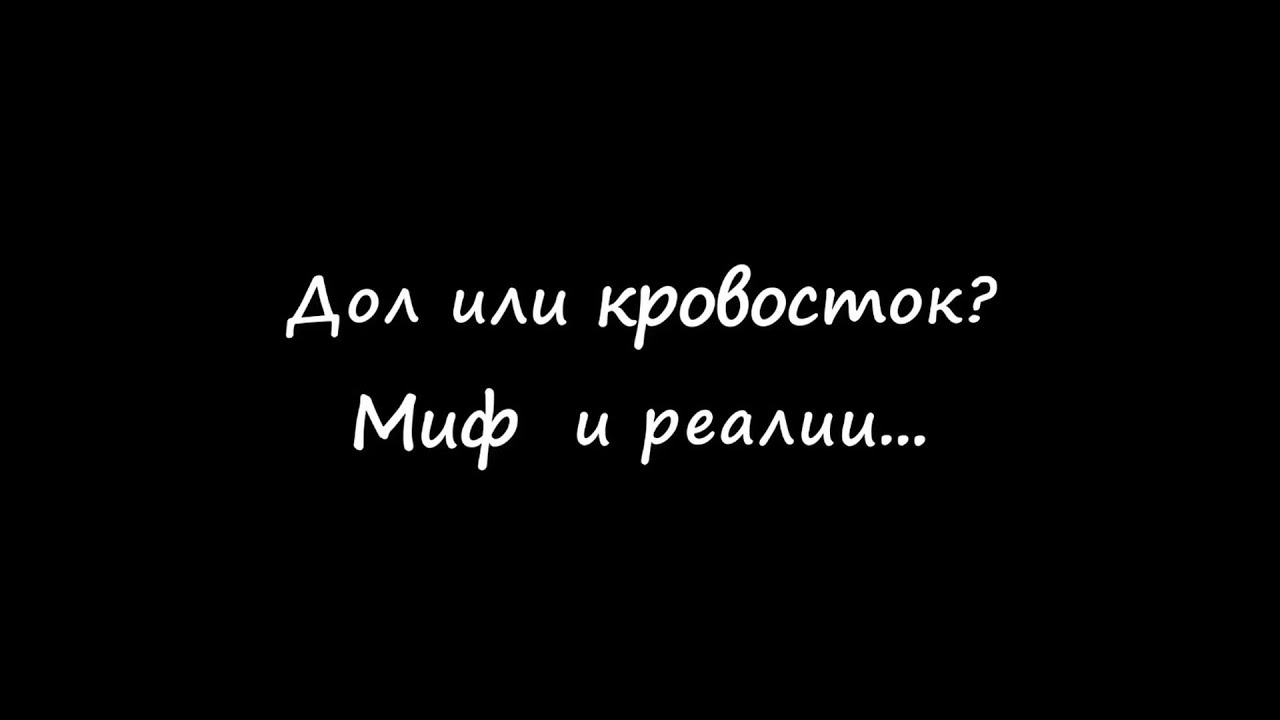 Дол или кровосток? Миф и реальность!
