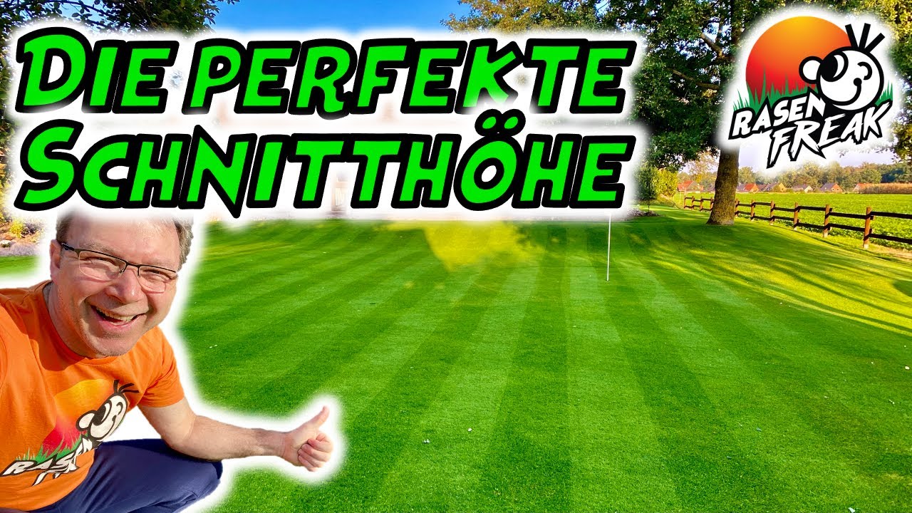 M&Auml;HST DU auf der RICHTIGEN SCHNITTH&Ouml;HE? Das Spindelm&auml;her TUTORIAL vom RASENFREAK zum Rasenschnitt!