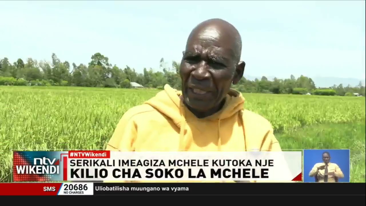Wakulima wa mpunga walalamika serikali kuagiza mchele kutoka nje