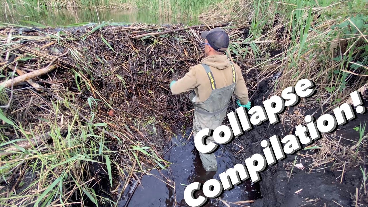 Beaver Dam COLLAPSE COMPILATION! 4K