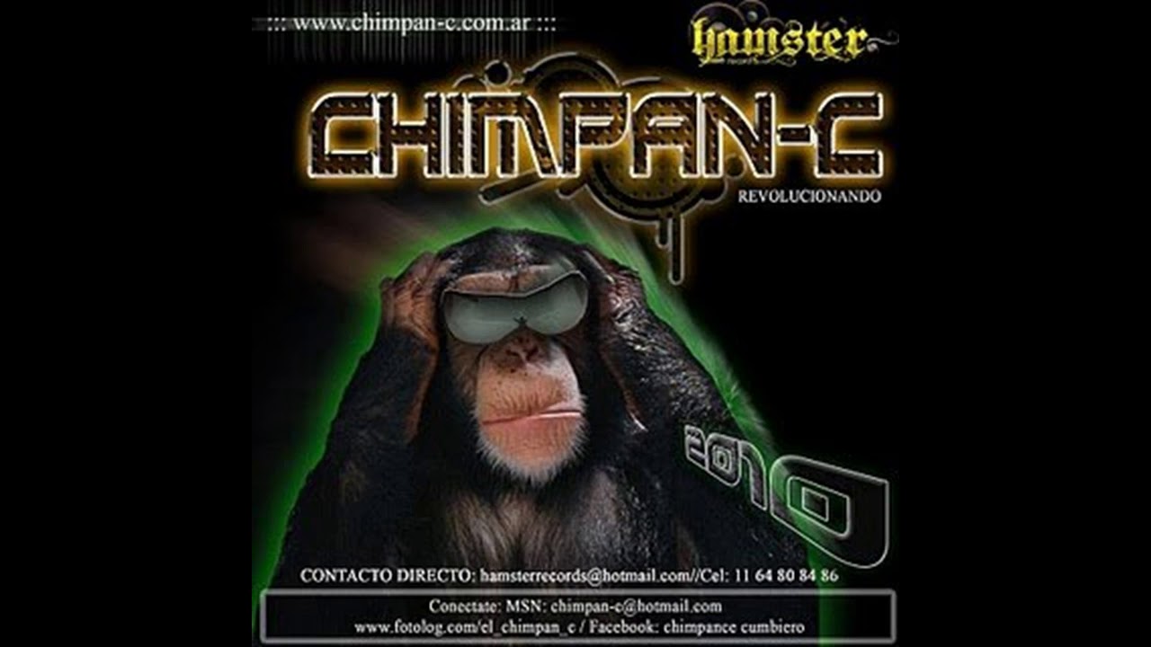 Chimpan c- Esta noche tu y yo