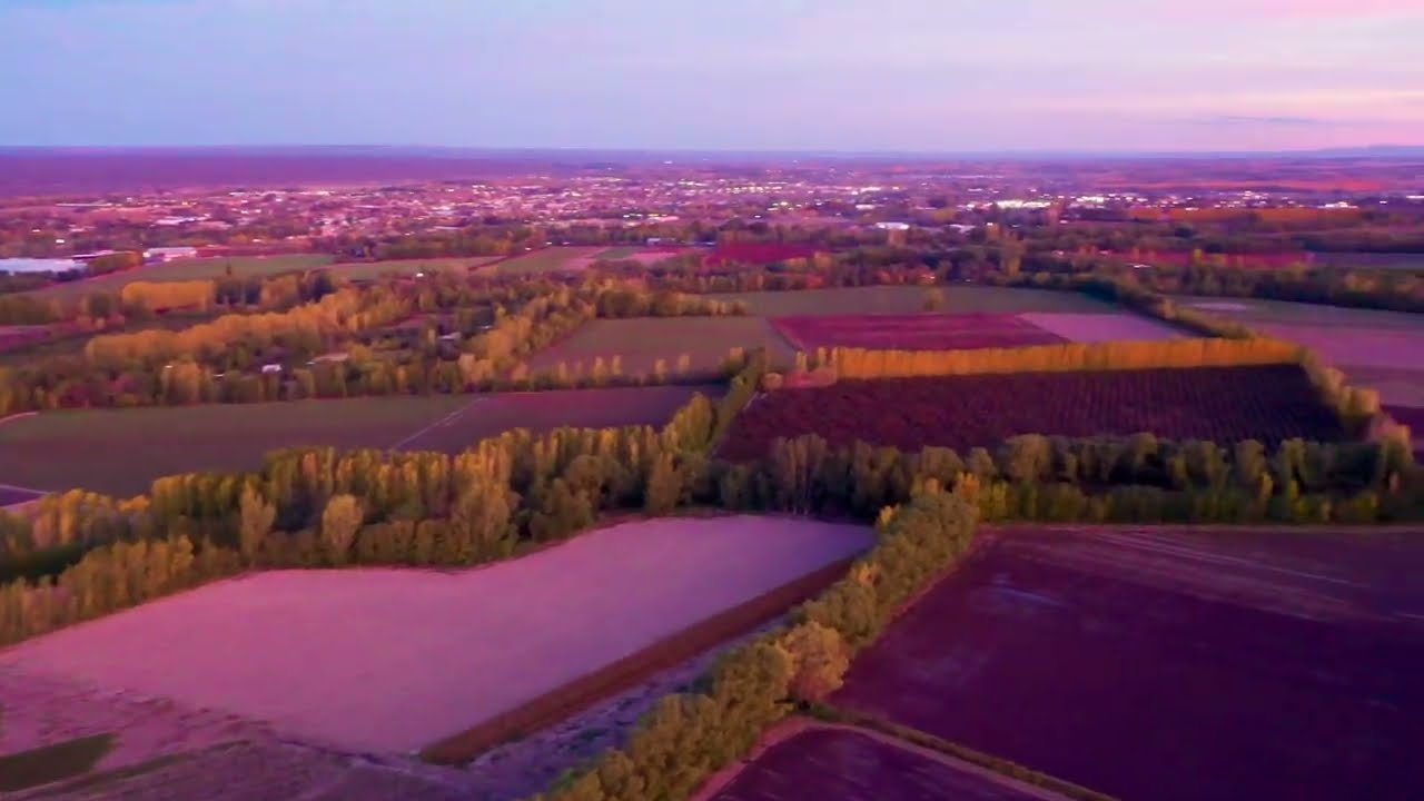 Volando sobre Valle de Uco al atardecer