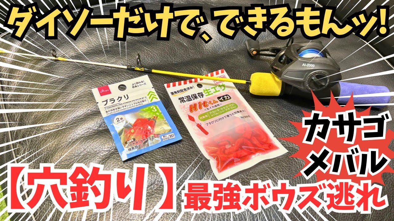【ダイソーだけで、できるもん！】穴釣り【高級魚釣れちゃう】