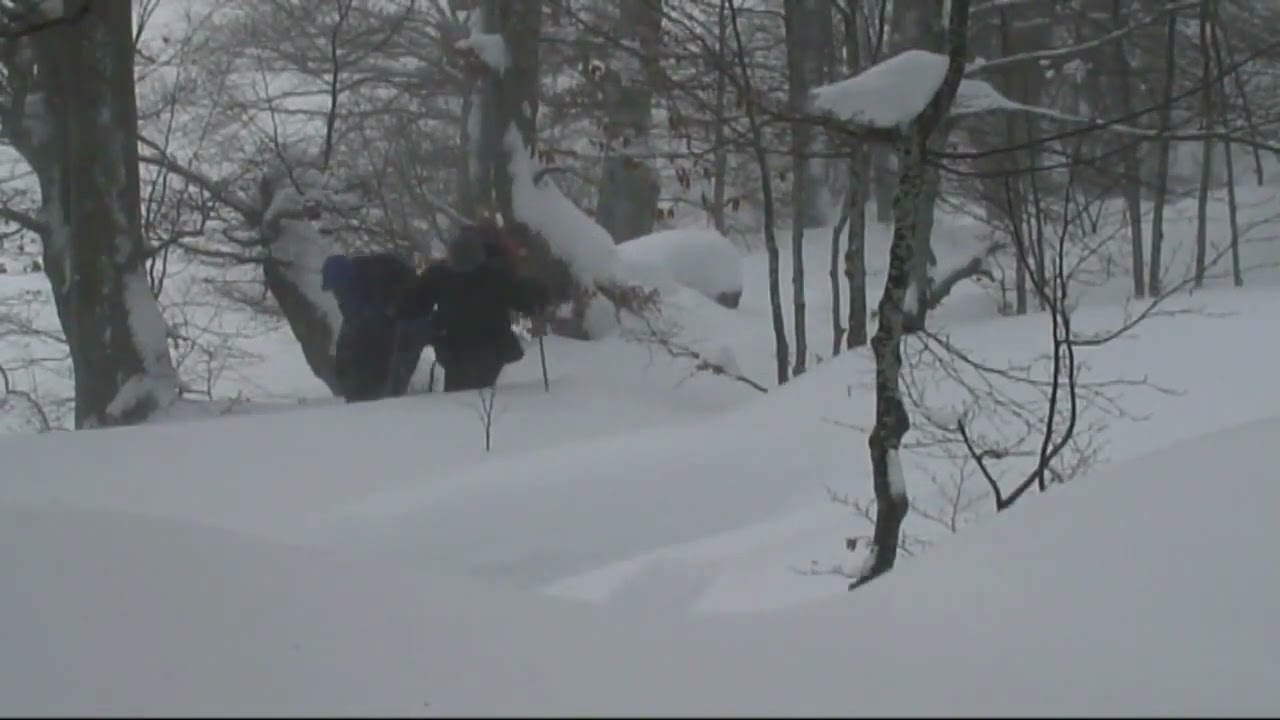 LOST IN A STORM      DR PAUL ANDERSON MBE