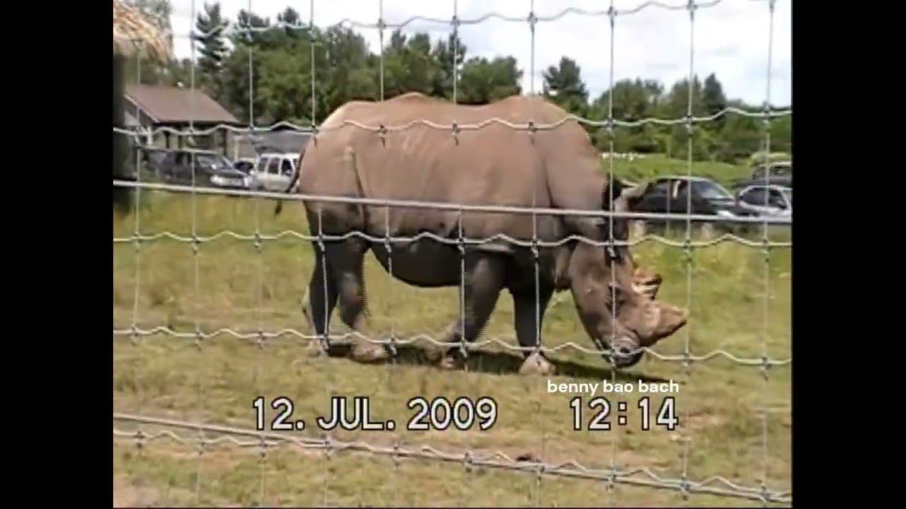 ZOO SAFARI CANADA 1
