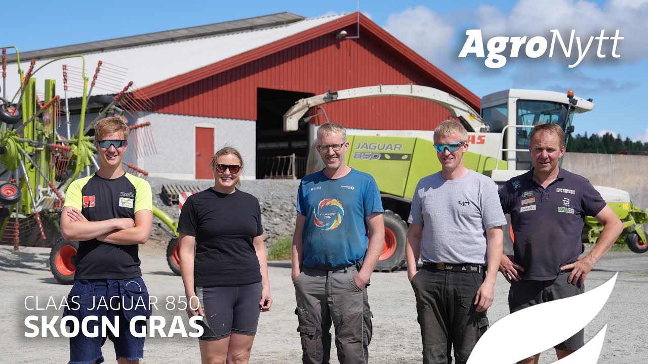 CLAAS JAGUAR 850 | Skogn Gras SA høster førsteslått hos Midt-Skogn Melk DA