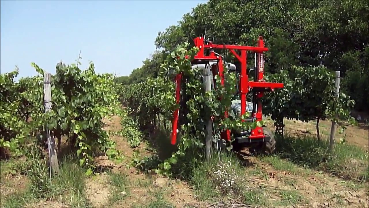 SANIDAS Κορυφολόγηση σε Αμπέλια Trimmer in Vineyards Машина за контурно рязане на лозя