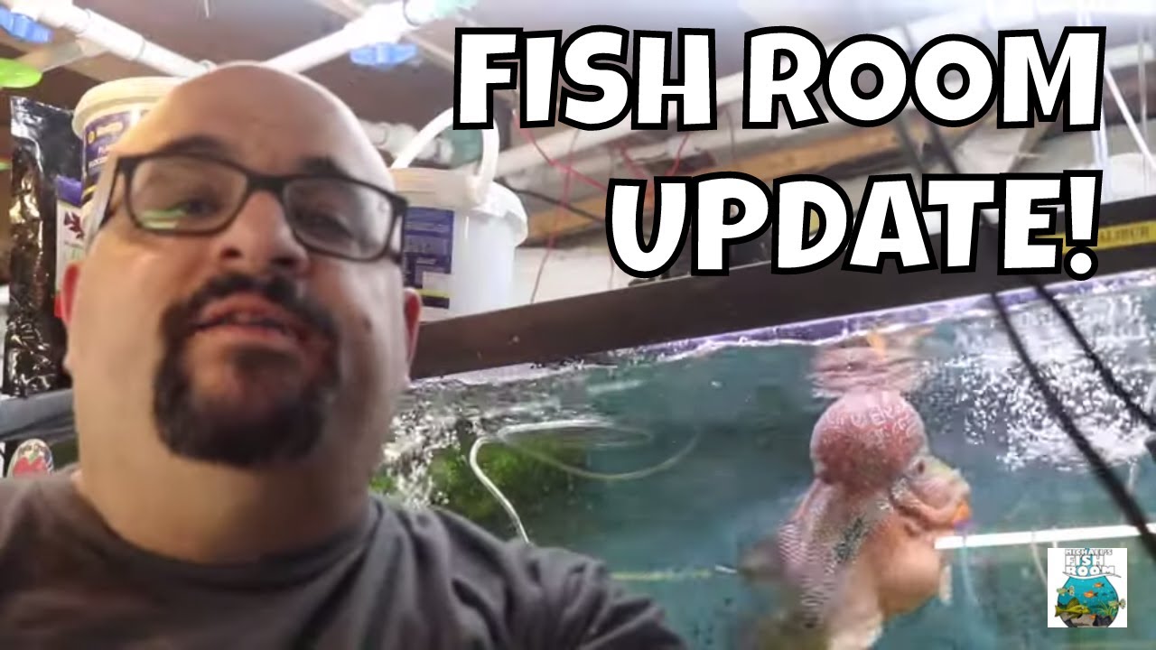 Fish Room Update