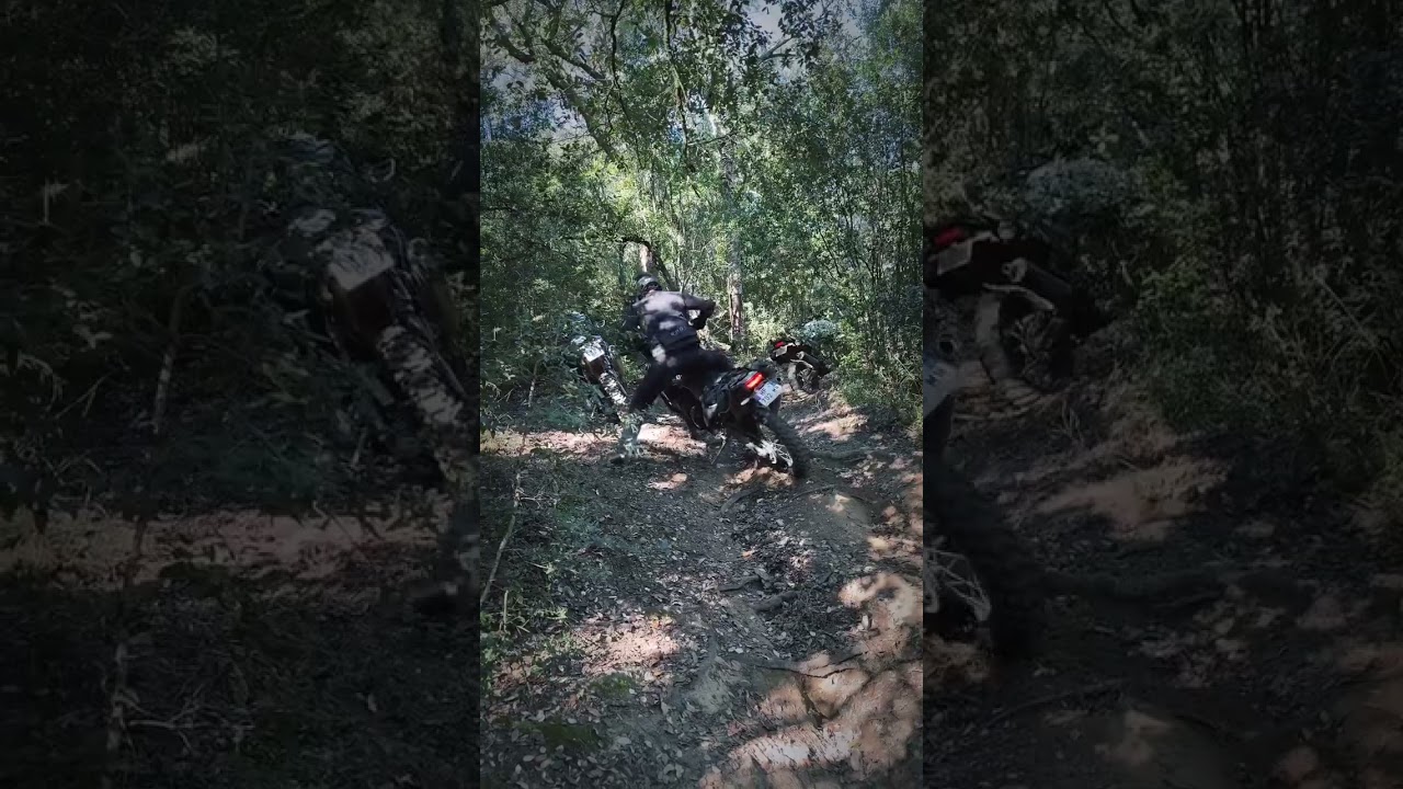 what's your favorite position....Yamaha Tenere extreme adventure bike 