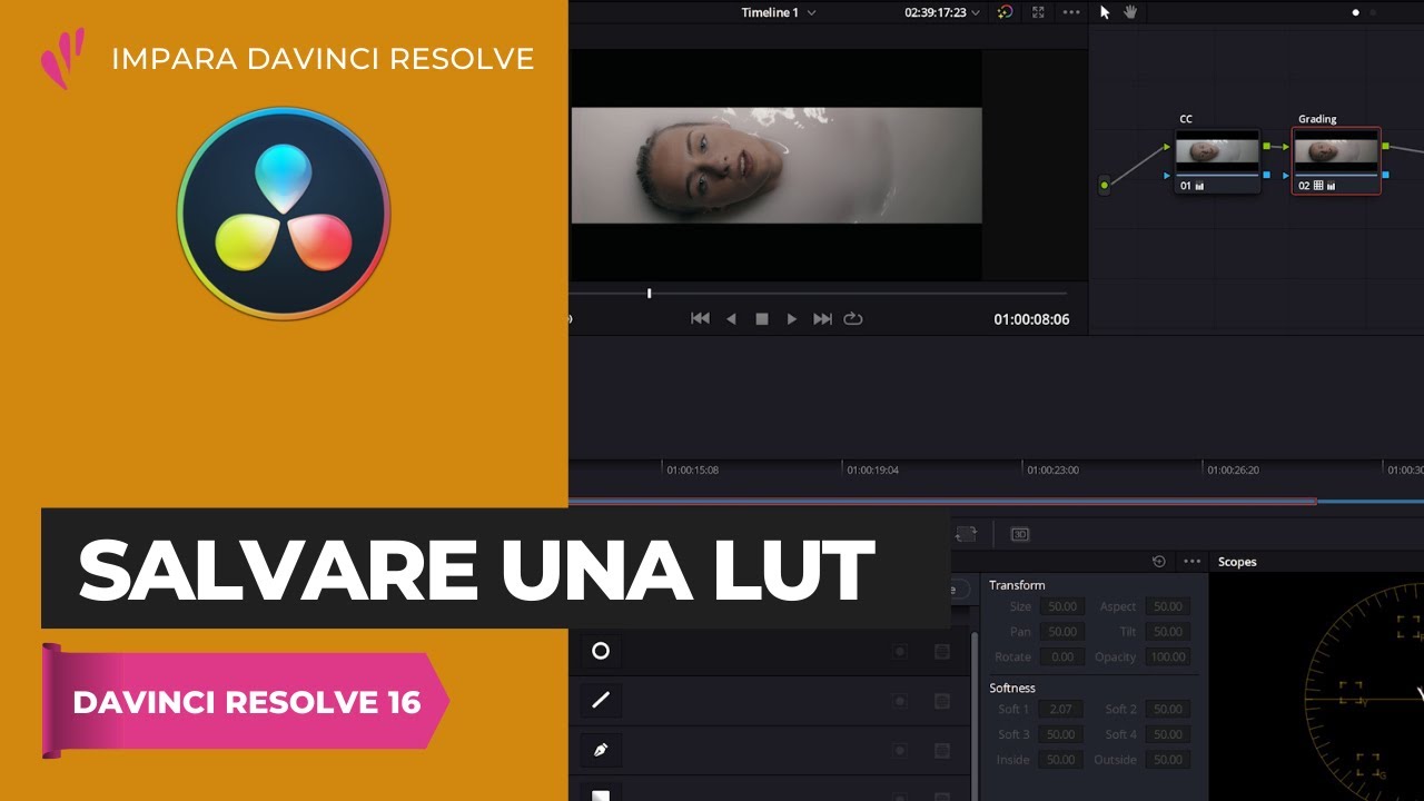 Salvare una LUT | Color | Davinci Resolve ITA