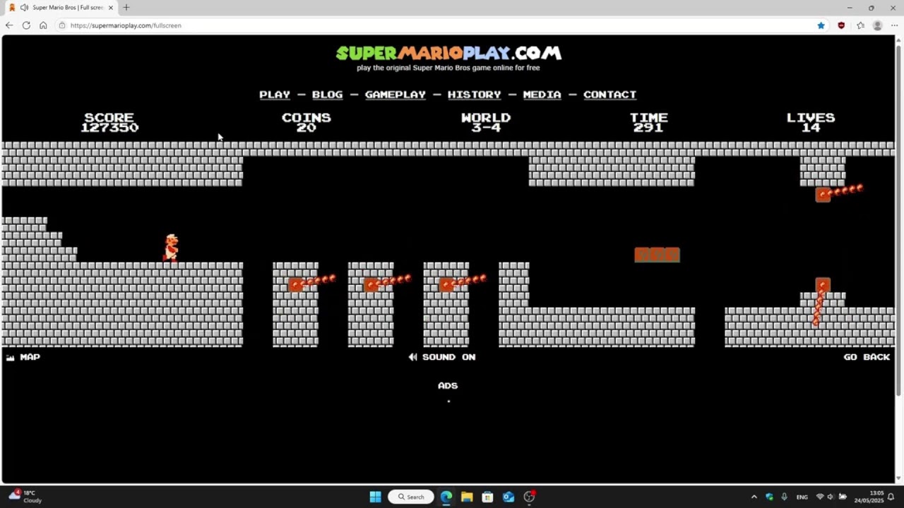 SUPER MARIO LIVE
