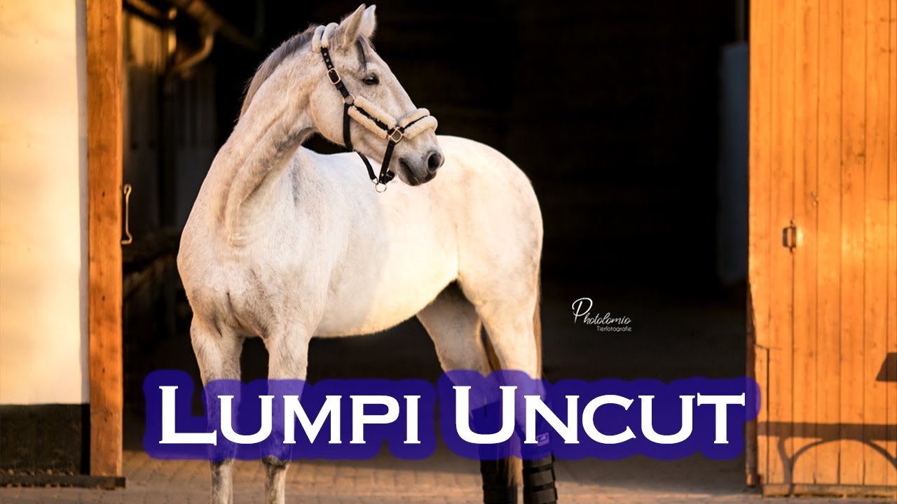 UNCUT kommentiertes Training mit Lumpi im Dressursattel