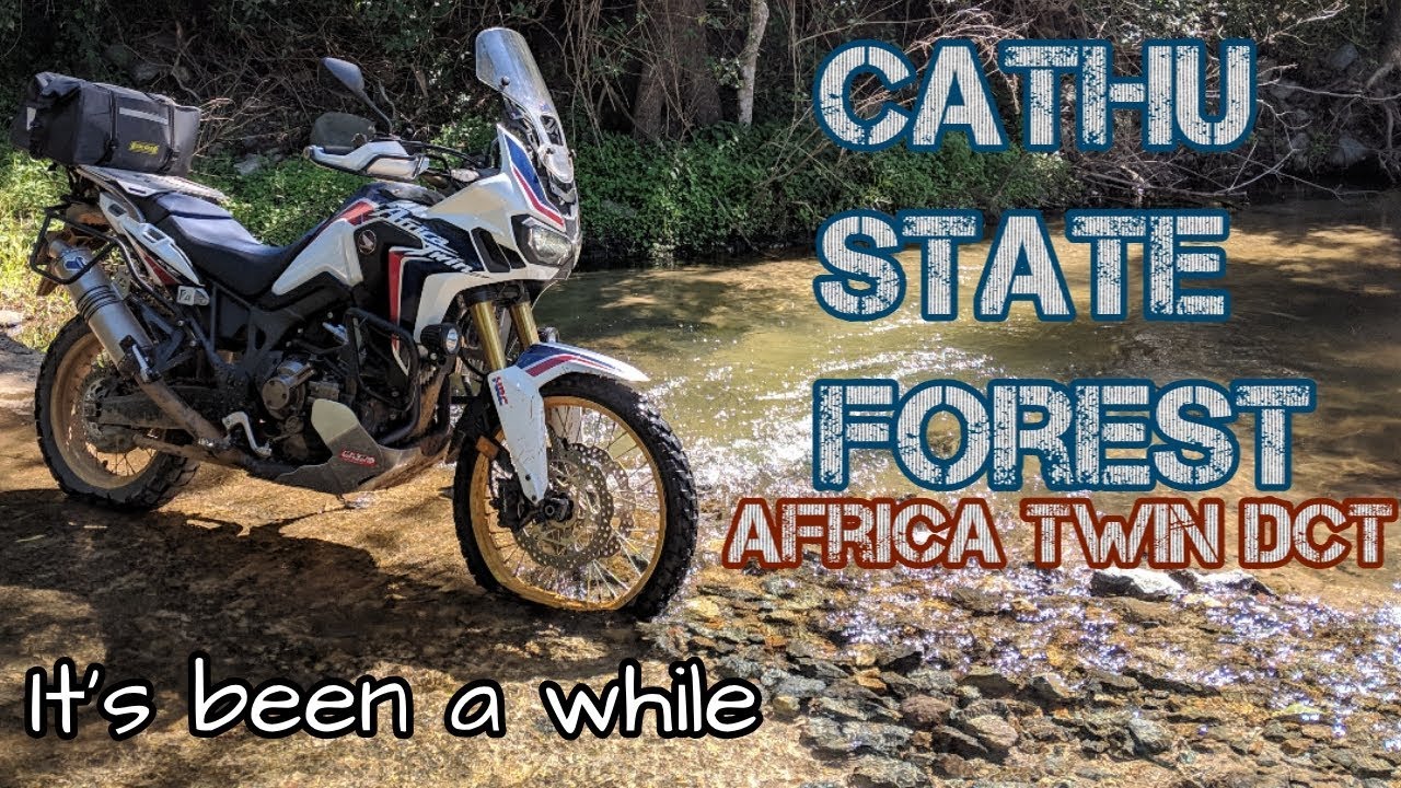 Cathu State Forest on Africa Twin *Re-upload*
