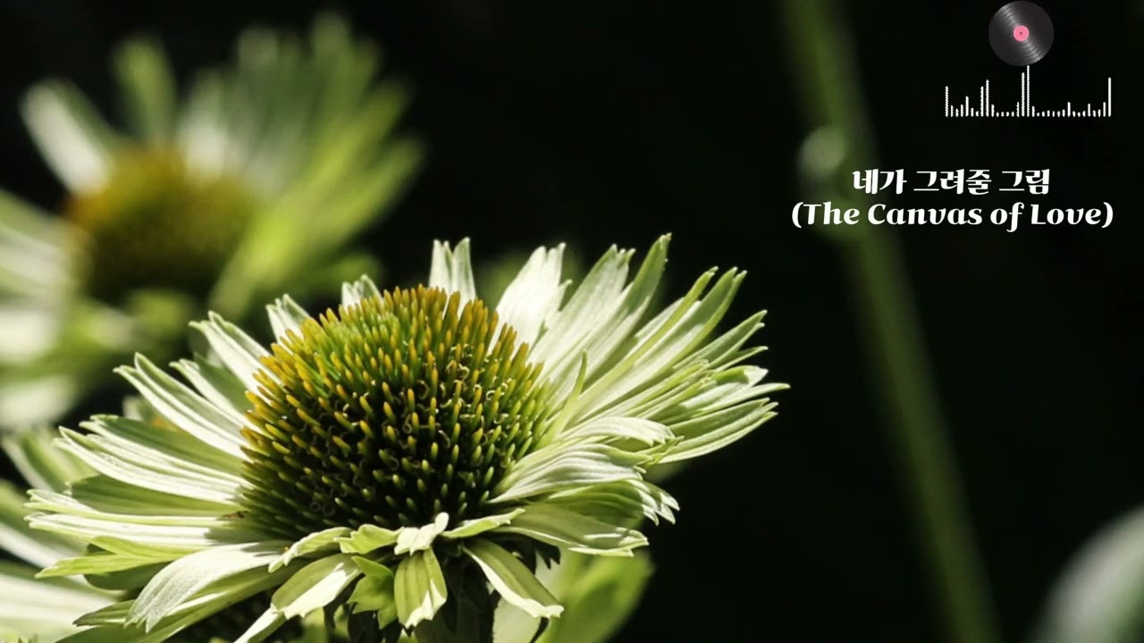 네가 그려줄 그림 The Canvas of Love